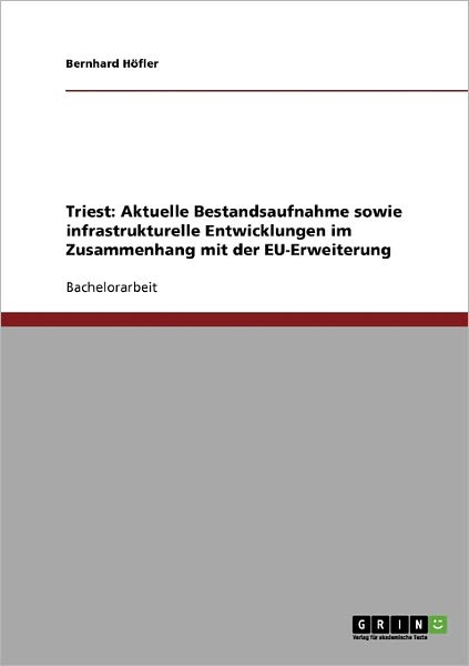 Cover for Höfler · Triest: Aktuelle Bestandsaufnahm (Book) [German edition] (2013)