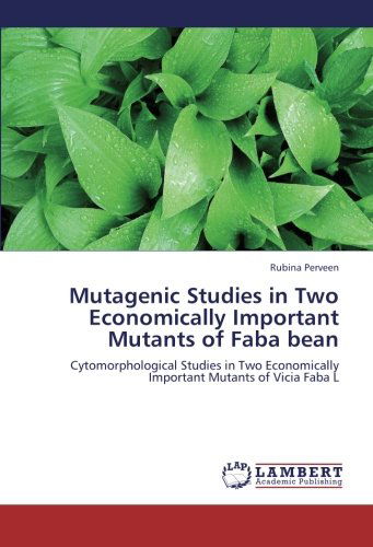 Cover for Rubina Perveen · Mutagenic Studies in Two Economically Important Mutants of Faba Bean: Cytomorphological Studies in Two Economically Important Mutants of Vicia Faba L (Paperback Book) (2012)