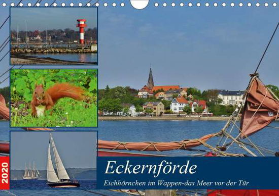 Cover for Schaack · Eckernförde. Eichhörnchen im Wa (Bok)