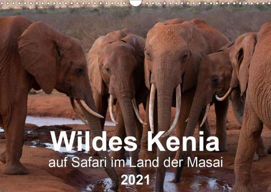 Cover for Schurig · Wildes Kenia - auf Safari im La (Book)