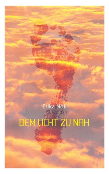 Cover for Noll · Dem Licht zu nah (Book) (2017)