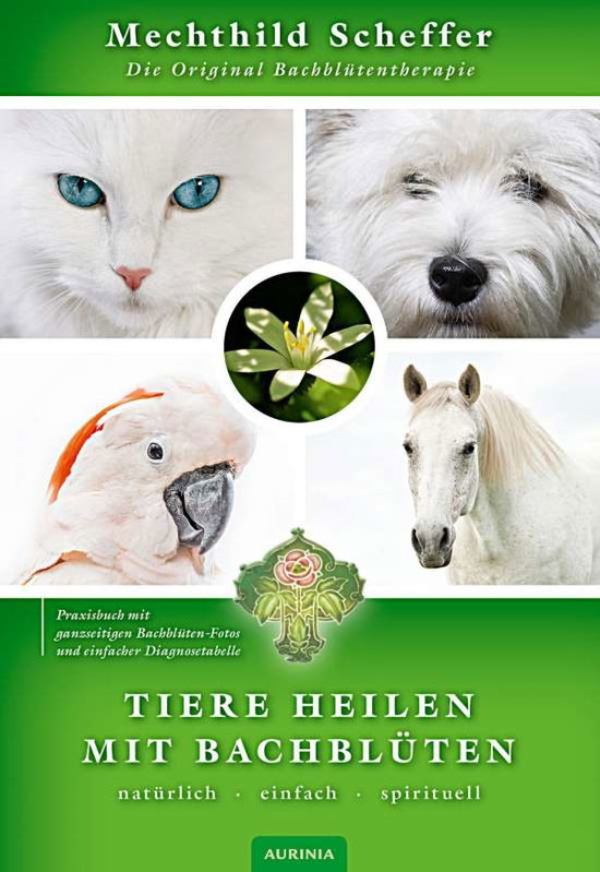 Cover for Scheffer · Tiere heilen mit Bachblüten (Book)