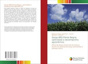 Cover for Sousa · Sorgo BRS Ponta Negra: salinidade (Book)