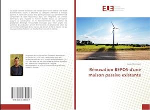 Cover for Domingos · Rénovation BEPOS d'une maison (Bog)