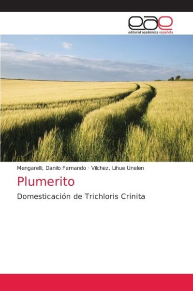 Cover for Mengarelli Danilo Fernando · Plumerito (Paperback Book) (2021)