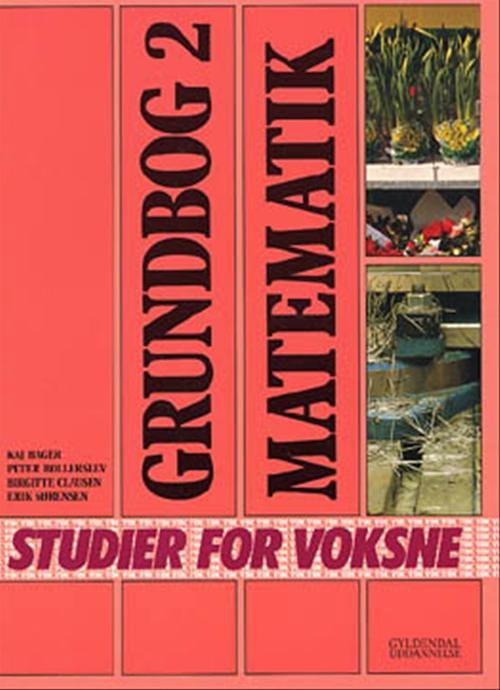 Matematik - Kaj Bager; Peter Bollerslev; Birgitte Clausen - Bøker - Gyldendal - 9788700190207 - 7. mars 2001