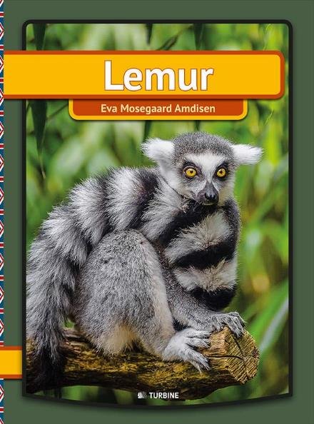 My first book: Lemur - Eva Mosegaard Amdisen - Bøger - Turbine - 9788740617207 - 8. august 2017