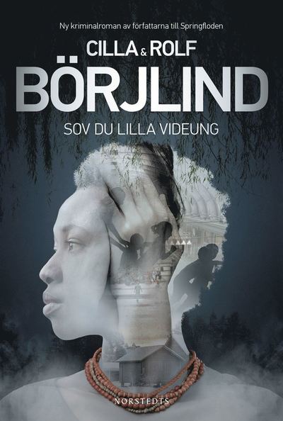 Cover for Rolf Börjlind Cilla Börjlind · Sov du lilla videung (ePUB) (2016)