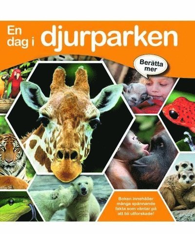 Cover for Louise Buckens · En dag i djurparken (Inbunden Bok) (2016)