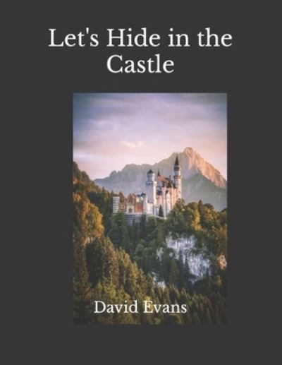 Cover for David G Evans · Let's Hide in the Castle (Paperback Book) (2022)