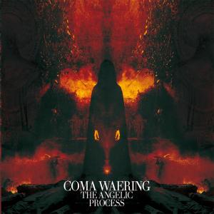 Cover for Angelic Process · Coma Waering (LP) (2012)