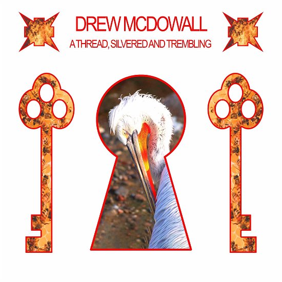 Cover for Drew Mcdowall · Thread, Silvered &amp; Trembling (LP) (2024)