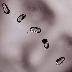 Up - Peter Gabriel - Muziek - REALWORLD - 0724381306208 - 23 september 2002