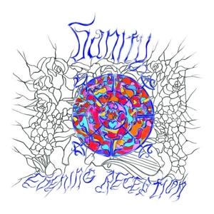 Cover for Vanity · Evening Reception (LP)