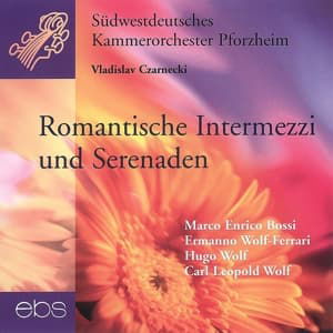 Cover for Romantic Intermezze &amp; Serenades (CD) (2007)