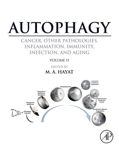 Cover for M Hayat · Autophagy: Cancer, Other Pathologies, Inflammation, Immunity, Infection, and Aging (Hardcover Book) (2017)