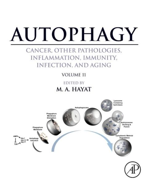 Cover for M Hayat · Autophagy: Cancer, Other Pathologies, Inflammation, Immunity, Infection, and Aging (Gebundenes Buch) (2017)