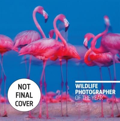 Cover for Rosamund  Kidman Cox · Wildlife Photographer of the Year: Portfolio 31 (Hardcover Book) (2021)