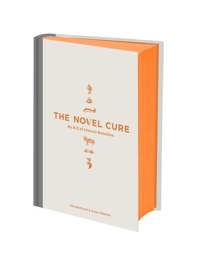 Novel Cure - An A to Z of Literary Remedies - Ella Berthoud - Bücher - Canongate - 9780857864208 - 5. September 2013