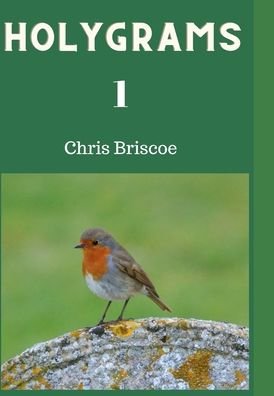 Cover for Chris Briscoe · Holygrams 1 (Bog) (2021)