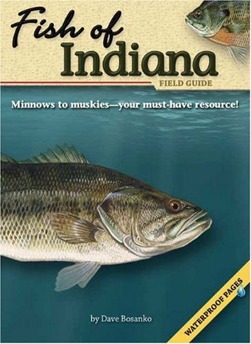 Cover for Dave Bosanko · Fish of Indiana Field Guide (Pocketbok) (2009)