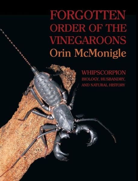Cover for Orin McMonigle · Forgotten Order of the Vinegaroons: Whipscorpion Biology, Husbandry, and Natural History (Gebundenes Buch) (2013)