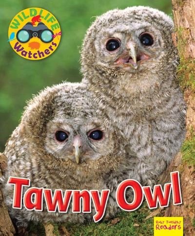 Wildlife Watchers: Tawny Owl - Ruby Tuesday Readers - Ruth Owen - Libros - Ruby Tuesday Books Ltd - 9781911341208 - 30 de abril de 2017
