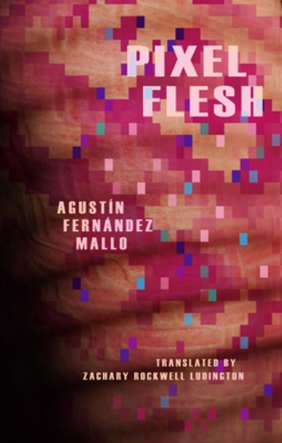 Cover for Agustin Fernandez Mallo · Pixel Flesh (Pocketbok) (2020)