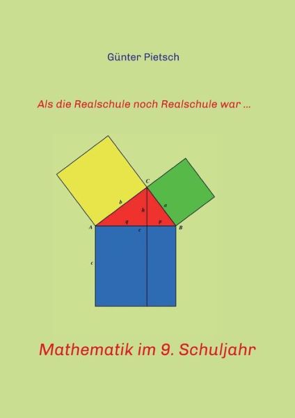 Mathematik im 9. Schuljahr - Pietsch - Books -  - 9783743924208 - June 26, 2017