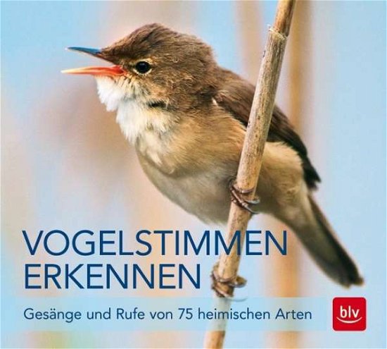 Cover for Schulze · Vogelstimmen erkennen,CD-A (Buch)