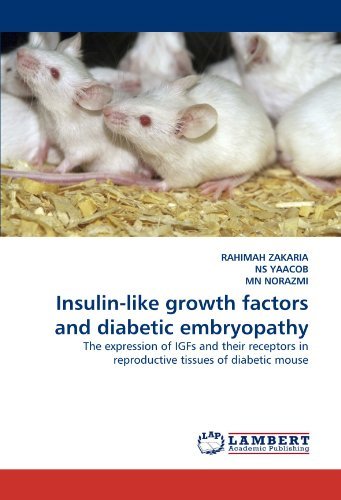 Cover for Mn Norazmi · Insulin-like Growth Factors and Diabetic Embryopathy: the Expression of Igfs and Their Receptors in Reproductive Tissues of Diabetic Mouse (Pocketbok) (2010)