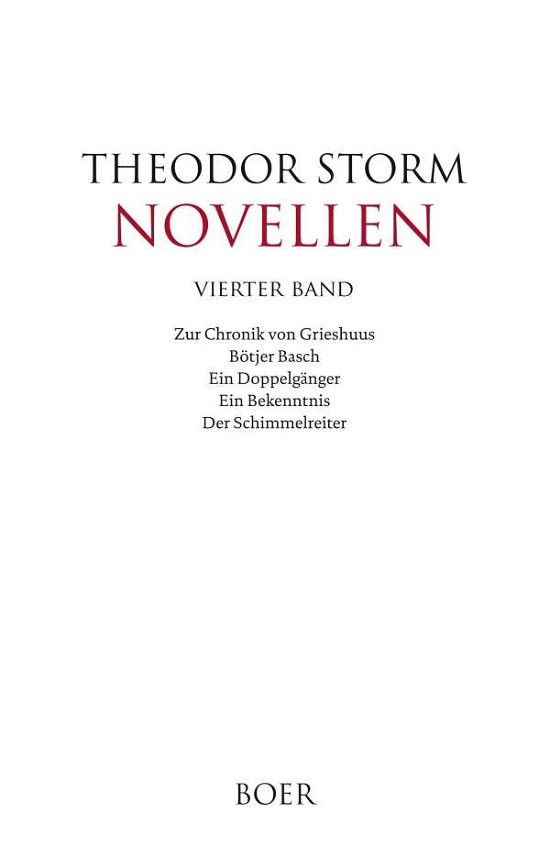 Cover for Storm · Novellen vierter Band (Bog)