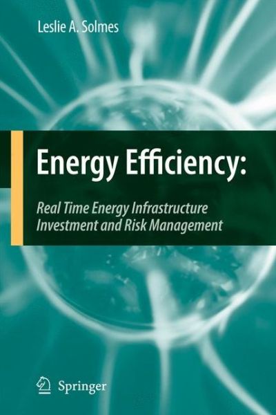 Leslie A. Solmes · Energy Efficiency: Real Time Energy Infrastructure Investment and Risk Management (Gebundenes Buch) [2009 edition] (2009)