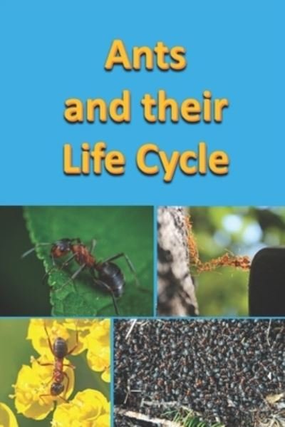 Cover for Rich Linville · Ants and their Life Cycle - Animals (Pocketbok) (2022)