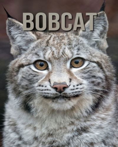Cover for Dan Anthony · Bobcat (Paperback Book) (2020)