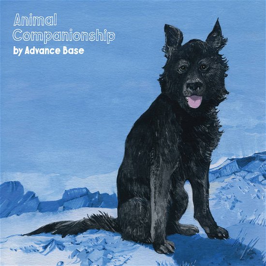 Cover for Advance Base · Animal Companionship (LP) (2018)