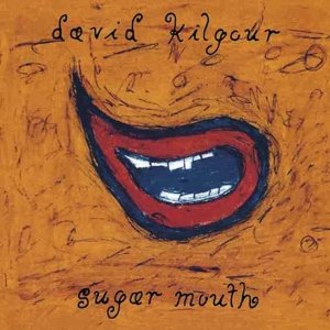 Cover for David Kilgour · Sugar Mouth (LP) (2016)