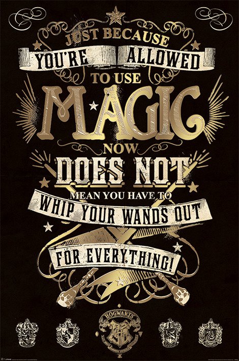 Harry Potter: Magic (Poster 61X91,5 Cm) - Harry Potter - Merchandise - AMBROSIANA - 5050574339209 - 