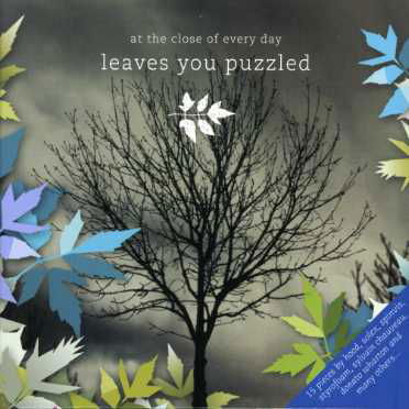 Cover for At The Close Of Every Day · Leaves You Puzzled (CD) (2014)