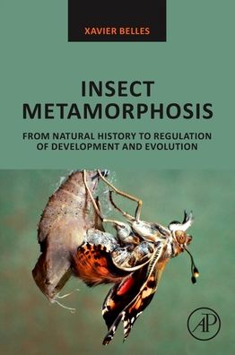 Cover for Belles, Xavier (Institute of Evolutionary Biology (CSIC-Pompeu Fabra University), Barcelona, Spain) · Insect Metamorphosis: From Natural History to Regulation of Development and Evolution (Paperback Book) (2020)