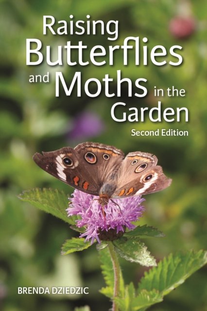 Cover for Brenda Dziedzic · Raising Butterflies and Moths in the Garden (Pocketbok) (2023)