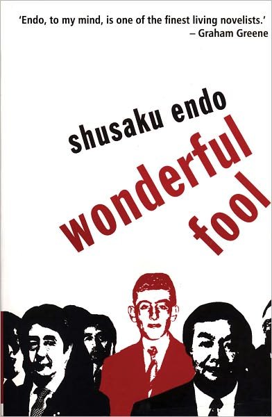 Cover for Mike Endicott · Wonderful Fool (Pocketbok) (2008)