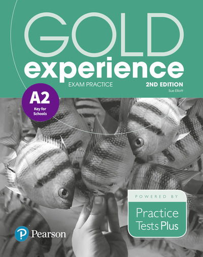 Cover for Sue Elliott · Gold Experience 2nd Edition Exam Practice: Cambridge English Key for Schools (A2) - Gold Experience (Paperback Book) (2018)