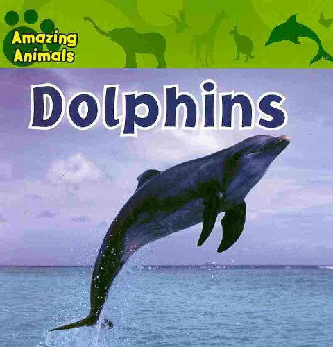 Cover for Sarah Albee · Dolphins (Amazing Animals) (Paperback Book) (2009)