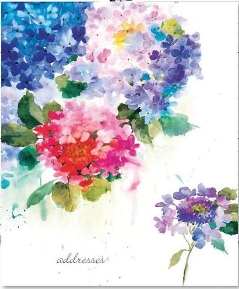 Hydrangeas Lg Addr Bk - - Andere - PETER PAUPER PRESS - 9781441320209 - 2016