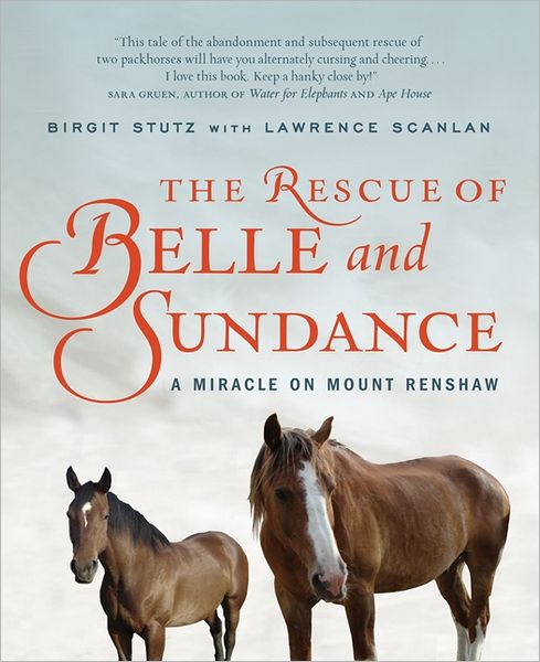 Cover for Stutz, Birgit, Scanlan, Lawrence · The Rescue of Belle and Sundance (Book) (2016)