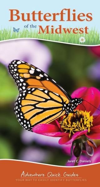 Cover for Jaret C. Daniels · Butterflies of the Midwest: Identify Butterflies with Ease - Adventure Quick Guides (Spiralbok) (2016)