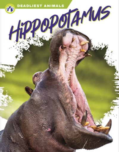 Cover for Golriz Golkar · Deadliest Animals: Hippopotamus (Paperback Book) (2022)