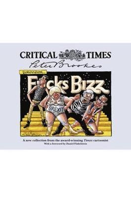 Cover for Peter Brookes · Critical Times (Innbunden bok) (2019)