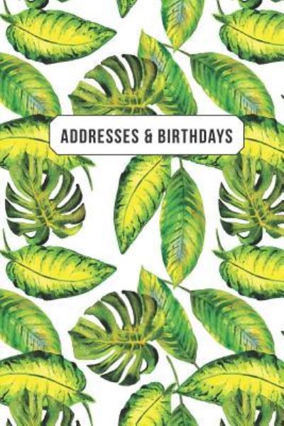 Cover for Andante Press · Addresses &amp; Birthdays (Paperback Book) (2019)